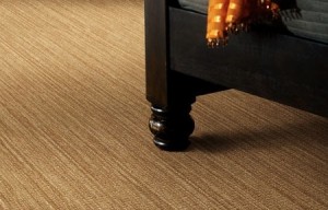 Shaw Carpet in Denver